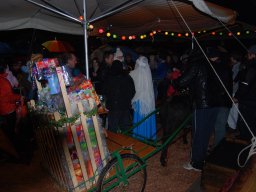 2011